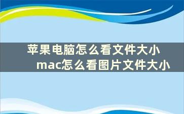 苹果电脑怎么看文件大小 mac怎么看图片文件大小